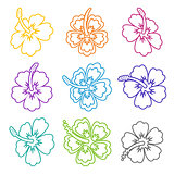 Vector hibiscus flower outline icons