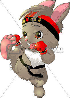 the beautiful karate bunny on a white background