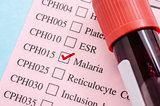Sample blood tube on Malaria test form paper.