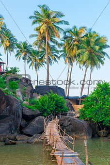 magnificent view of the palm trees and rocky shore