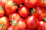 heap of red tomatoes 
