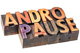 andropause word in wood  type
