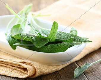 Fresh organic green fragrant sage on a wooden table