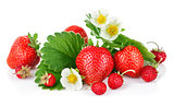 Fresh strawberry with green leaf and flower