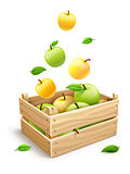 Apple fruits falling into the wooden box