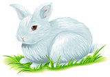 White easter bunny sitting on green grass