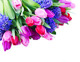 bouquet of   blue hyacinth and  tulips