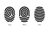 Fingerprint id types on white background.