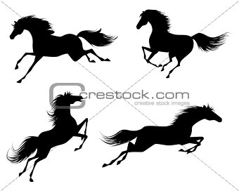Four horses silhouettes