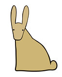 Contour of a hare