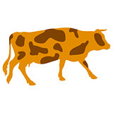 Silhouettes of spotted cow. Vector illustration.