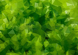 Green abstract  colorful background