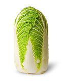 Chinese cabbage vertical view