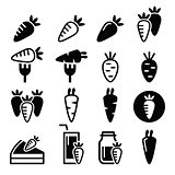 Carrot, carrot meals - cake, juice vector icons set