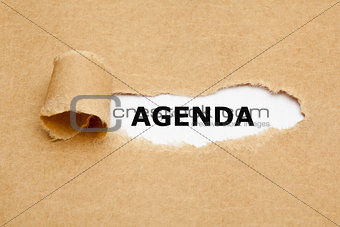 Agenda Torn Paper Concept