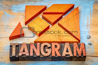 wooden tangram  puzzle