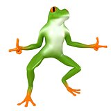 Tropical  posing frog