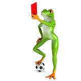 Tropical sport frog
