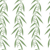 Seamless pattern branches of eucalyptus