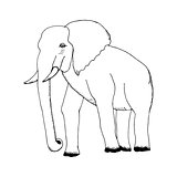 hand draw a sketch in the style of an elephant