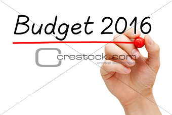 Budget Year 2016
