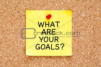 What Are Your Goals Cork Board