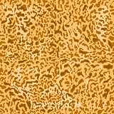 Abstract seamless background leopard skin