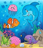 Ocean fauna topic image 1