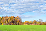 Trees and fields in autumn