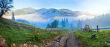 Summer mountain misty panorama.