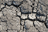 cracked land as textured background