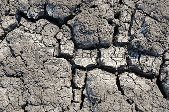 cracked land as textured background