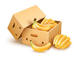 Cardboard box with banana fruits