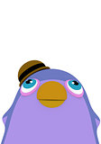 funny cartoon penguin bird with a hat