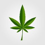 Green cannabis leaf icon design