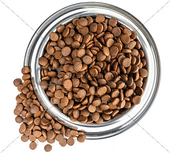 dogs dry food in the stainless steel bowl