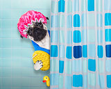 dog in shower