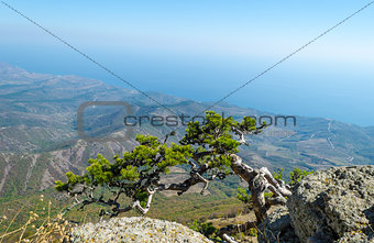 Demerji mountain in Crimea near Alushta