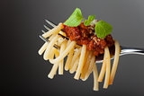 spaghetti with bolognese on a fork 