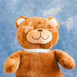 Injured Teddy Bear