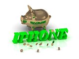 IPHONE- inscription of green letters and gold Piggy 