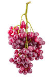 Cluster fresh grapes ripe fruit