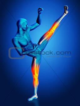 3D blue medical figure in kick boxing pose