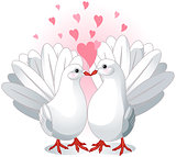 Love Doves 