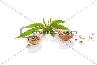 Cannabis seeds on wooden spoon.