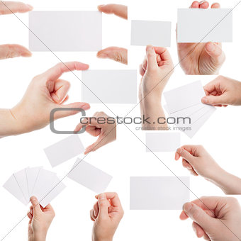 Set of female hands holding business cards