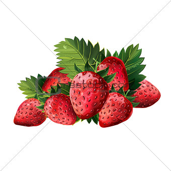 Red Strawberries With Leaves