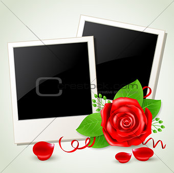 Photo and red rose