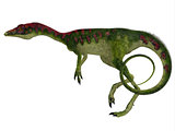 Compsognathus Side Profile