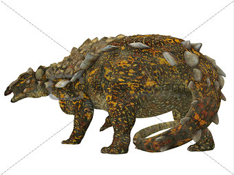 Gargoyleosaurus Dinosaur Tail